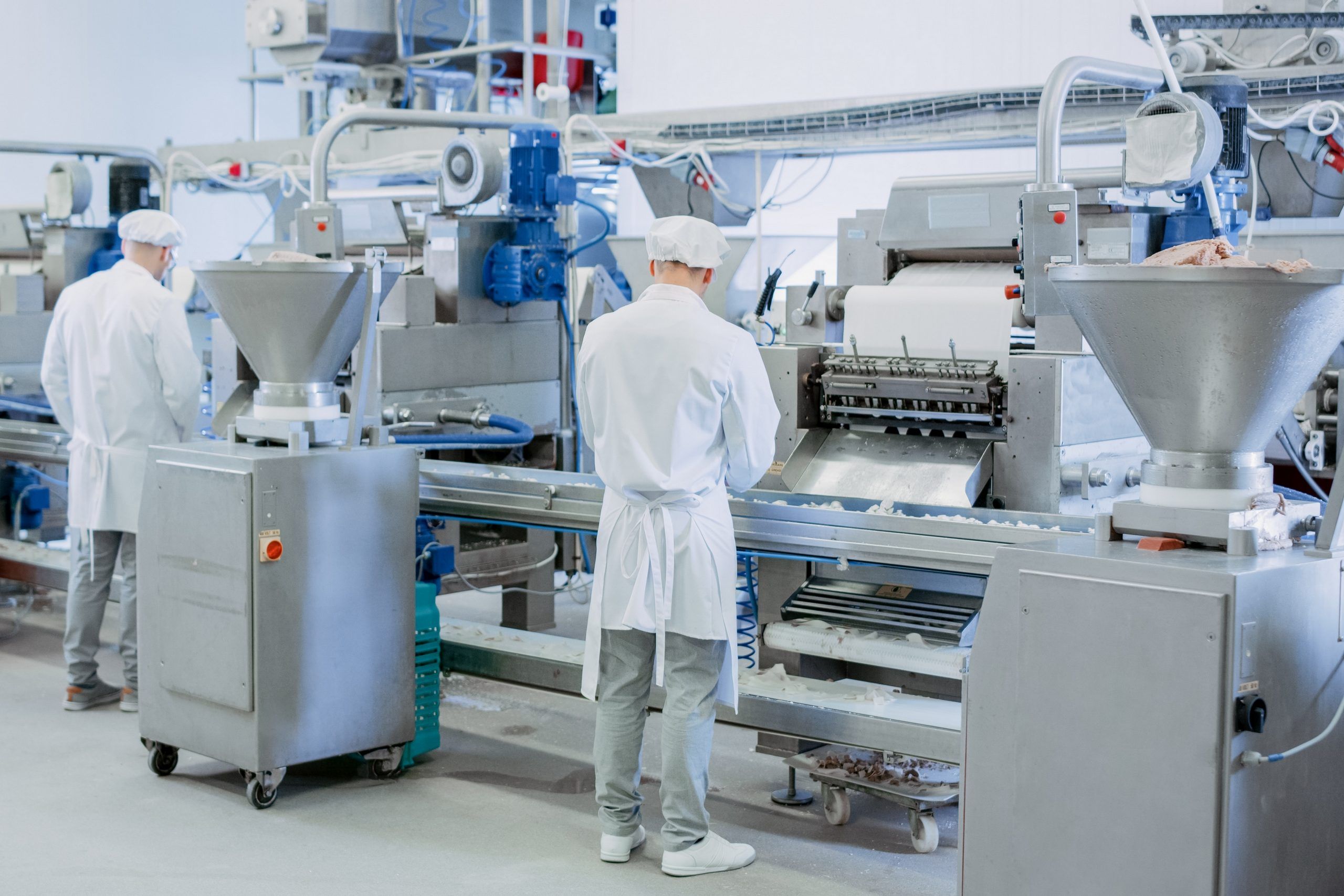 Food processing industry